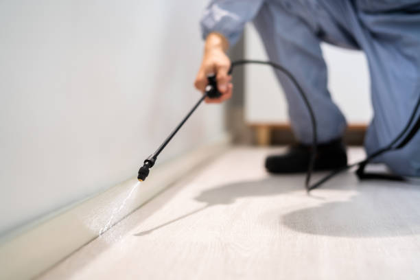 Bed Bug Pre-Treatment Preparation Assessment in Mendota