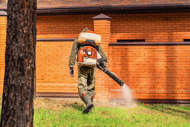 Bed Bug Clearance Verification and Documentation in Mendota